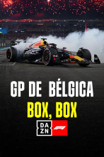 GP de Bélgica: Box, Box