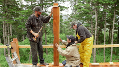 Construyendo Alaska,...: Cambiar a un plano radiológico