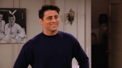 Friends, Season 2 (T2): Ep.16 El que Joey se cambia de casa