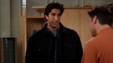 Friends, Season 5 (T5): Ep.7 El que Ross se Muda