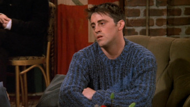 Friends, Season 5 (T5): Ep.15 El de la chica que golpea a Joey