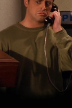 Friends, Season 5 (T5): Ep.22 El del primer éxito de Joey