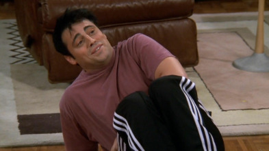 Friends, Season 6 (T6): Ep.4 En el que Joey pierde su seguro