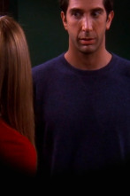 Friends, Season 6 (T6): Ep.9 El de cuando Ross se drogó