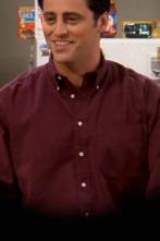 Friends, Season 6 (T6): Ep.19 El del frigorífico de Joey