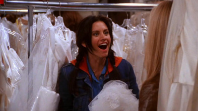 Friends, Season 7 (T7): Ep.17 El del vestido de novia barato