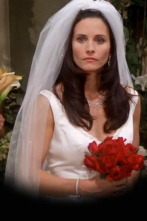 Friends, Season 7 (T7): Ep.24 El de la boda de Chandler y Mónica (2)
