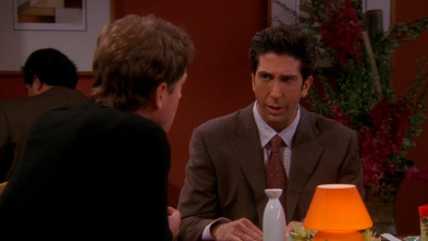 Friends, Season 10 (T10): Ep.6 El de la beca de Ross