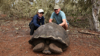 Islas del Pacífico con...: Islas Galápagos