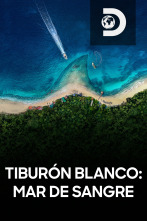 Tiburón blanco: mar de sangre