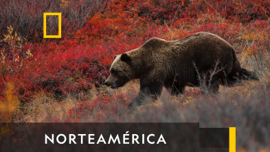 Norteamérica 