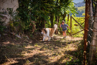 Lassie. Una nueva aventura