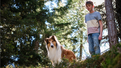 Lassie. Una nueva aventura