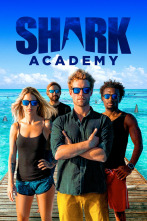 Shark Academy (T1)