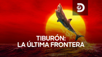 Tiburón: la última frontera