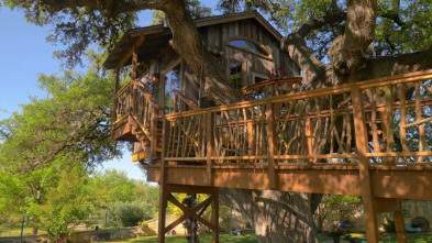 Mi casa en un árbol: Casa en un árbol a la francesa