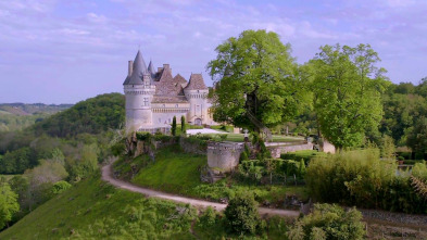 Mi casa en un árbol: Internacional: Francia