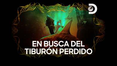 En busca del tiburón perdido