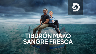 Tiburón mako: sangre fresca