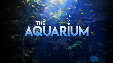 The Aquarium, Season 2 (T2)