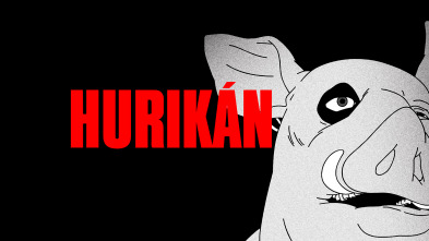 Hurikán