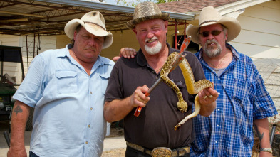 República Reptil: Fiebre de serpientes de cascabel