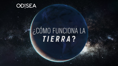 ¿Cómo funciona la  Tierra?: Bosques