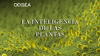 La inteligencia de las plantas 