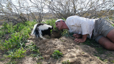 Wild Frank en California: Ep.2