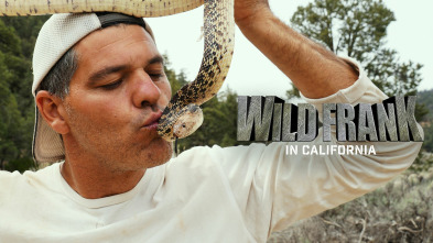 Wild Frank en California 