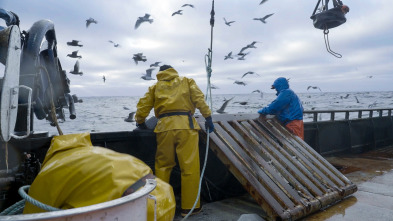 Pesca radical, Season 20: La finalidad de las marsopas