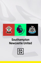 Jornada 23: Southampton - Newcastle