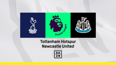 Jornada 20: Tottenham - Newcastle