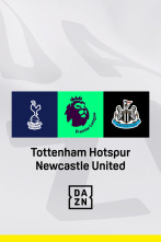 Jornada 20: Tottenham - Newcastle