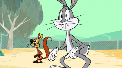 New Looney Tunes,... (T1): El mejor amigo del conejo / Un incordio de ex novio