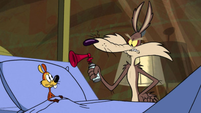 New Looney Tunes,... (T1): Uno de esos días / El síndrome de Villamachaque