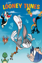 New Looney Tunes, Season 3 (T3)