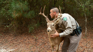 Lone Star Law, Season 2: Golpe en la carretera