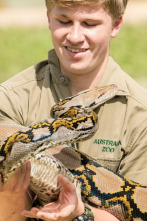 The Irwins (T2): Robert nada con una serpiente pitón