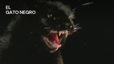 El gato negro