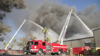 Bomberos de...: Hermandad del fuego