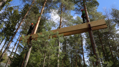 Mi casa en un árbol: Una casa digna de un vikingo