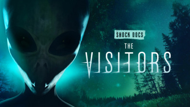 Los visitantes: abducción alien