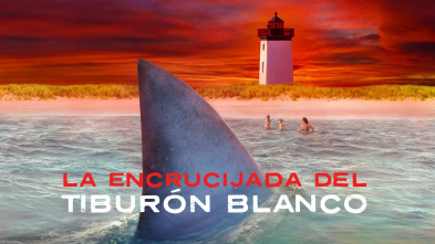 La encrucijada del tiburón blanco