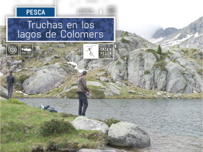 Truchas en los lagos de Colomers