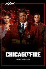 Chicago Fire (T12): Ep.8 La Oscuridad