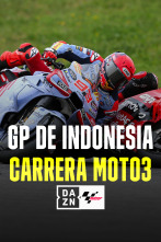 GP Indonesia (2024): Carrera Moto3