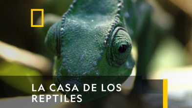 La casa de los reptiles 