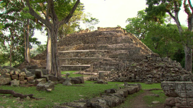 Perdidos con Terry...: La ciudad prohibida del oro