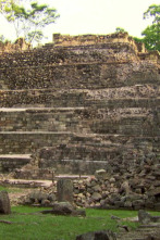 Perdidos con Terry...: La ciudad prohibida del oro